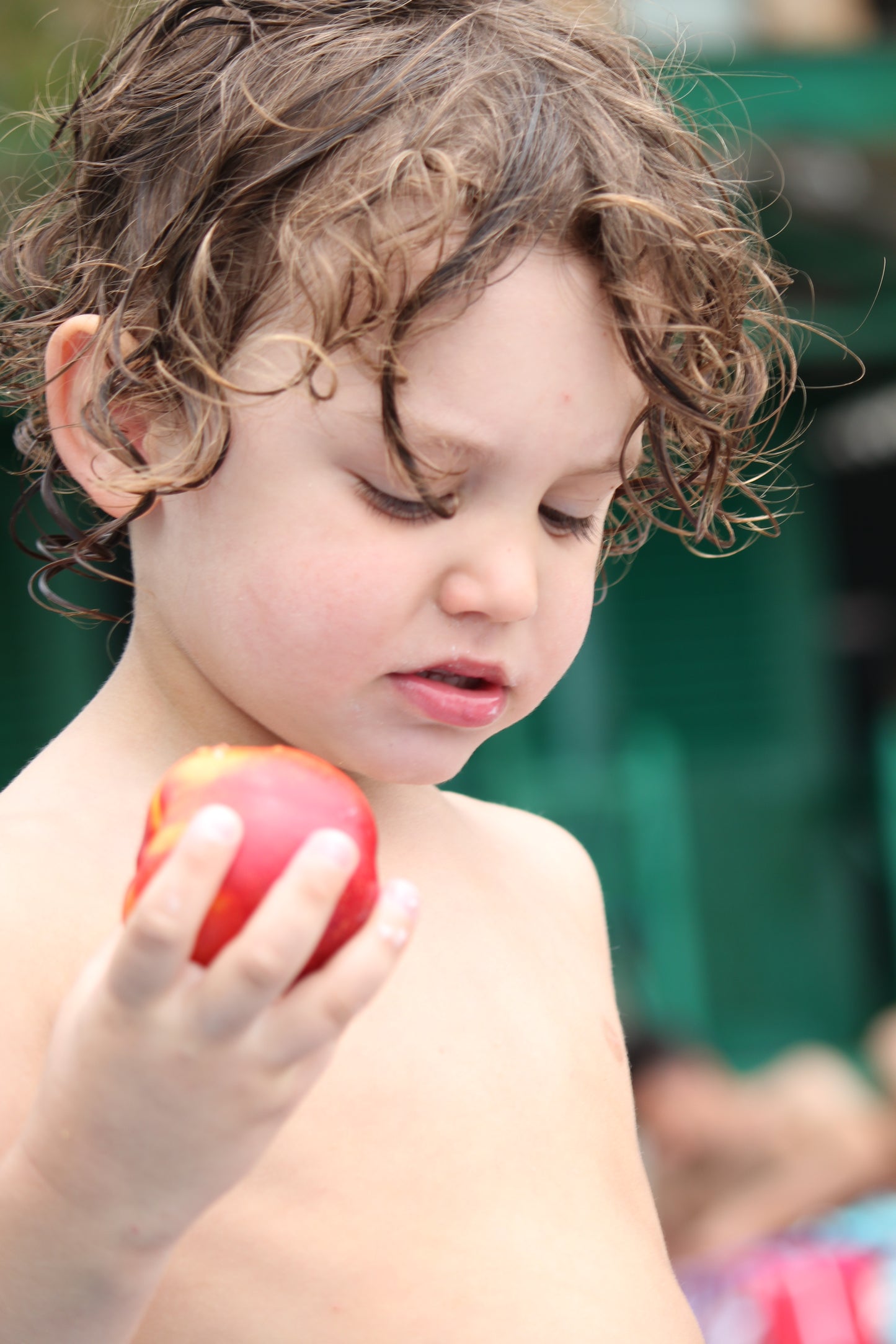The Apple by Barbara Lardera