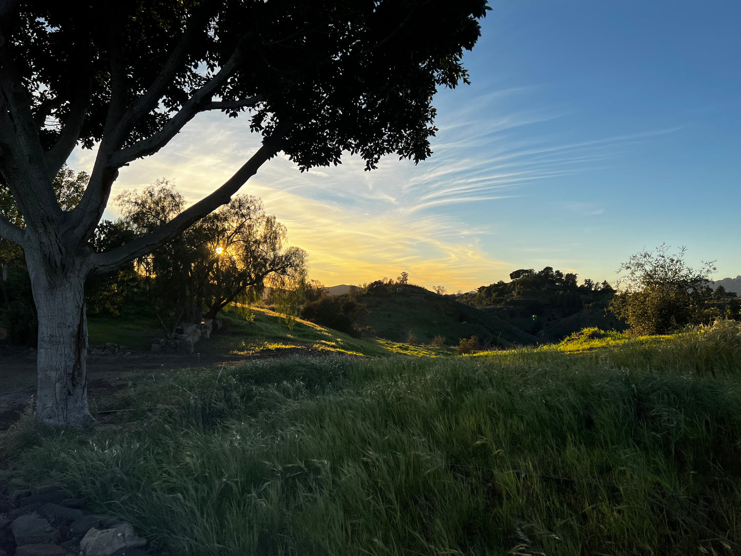 Malibu Hills at Dusk by Barbara Lardera
