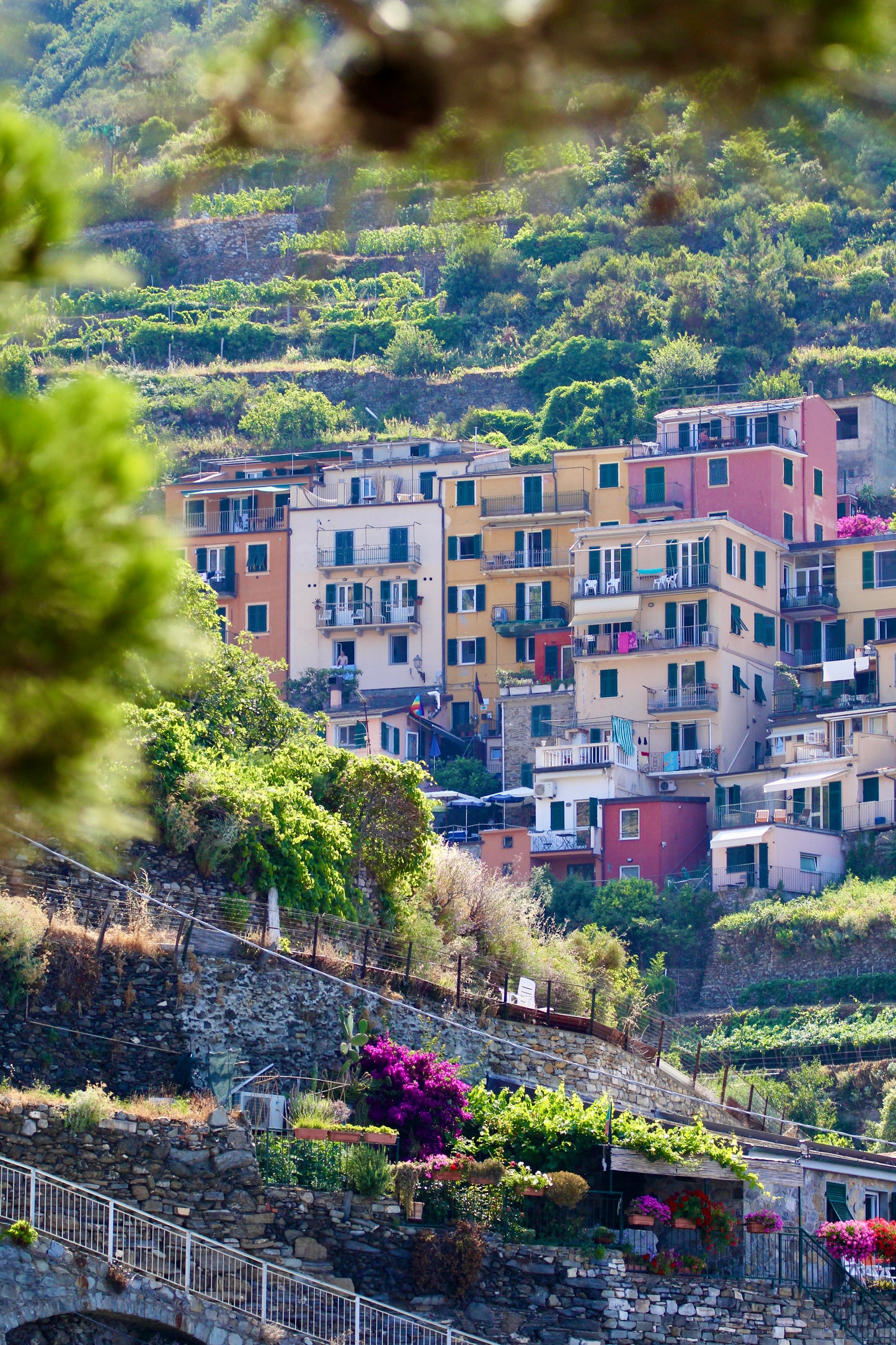 Cinque Terre Village View by Barbara Lardera