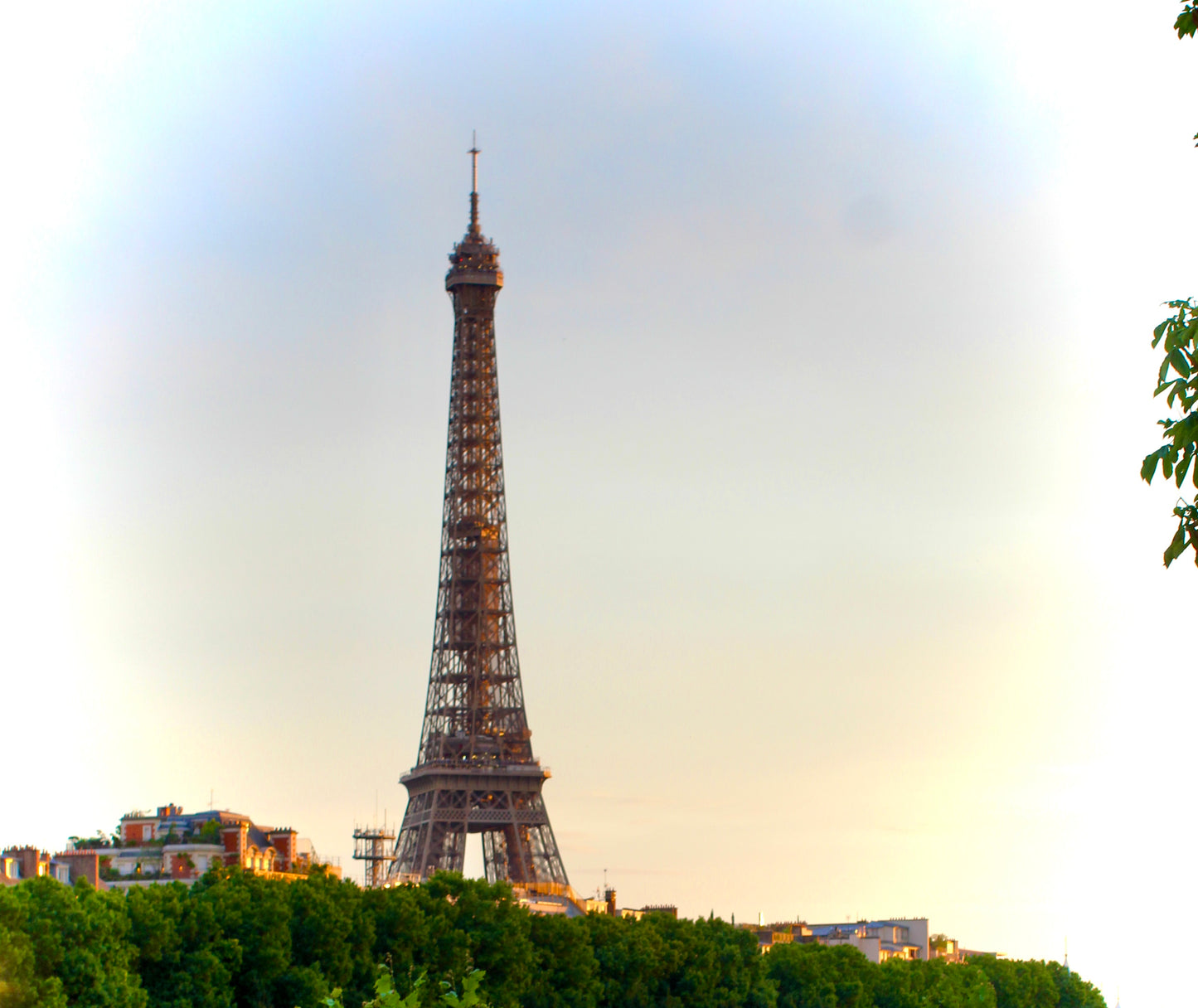 Twilight Elegance by Barbara Lardera