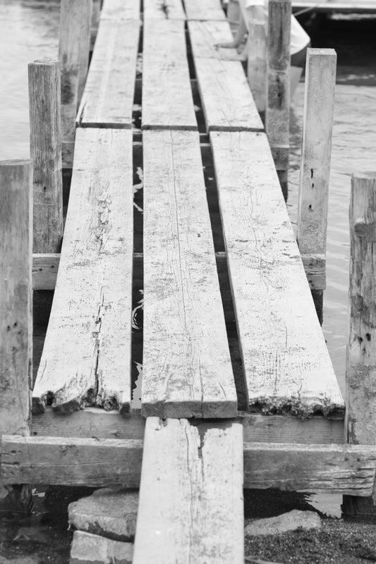 The Bridge by Barbara Lardera