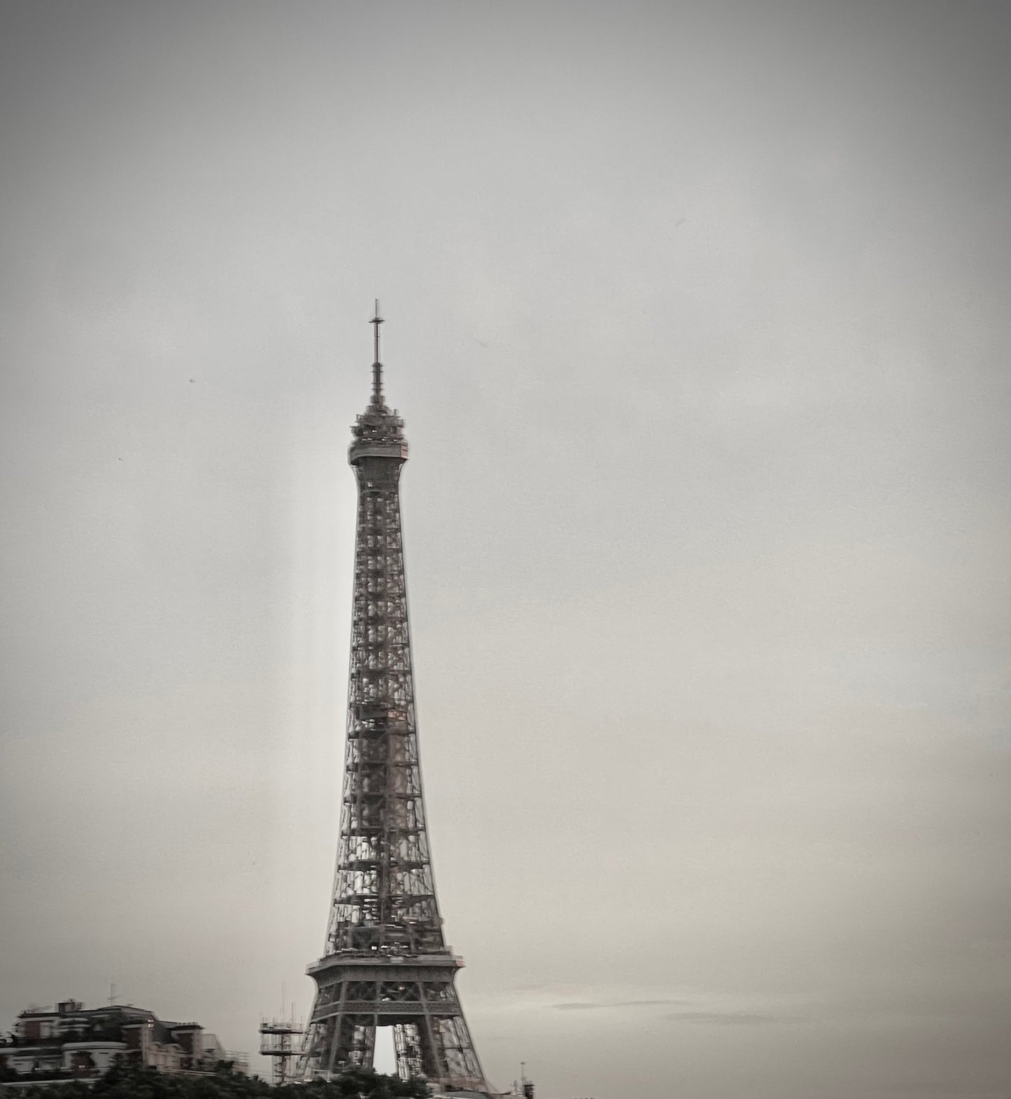 La Tour Eiffel by Barbara Lardera