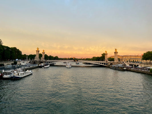 Golden Seine by Barbara Lardera