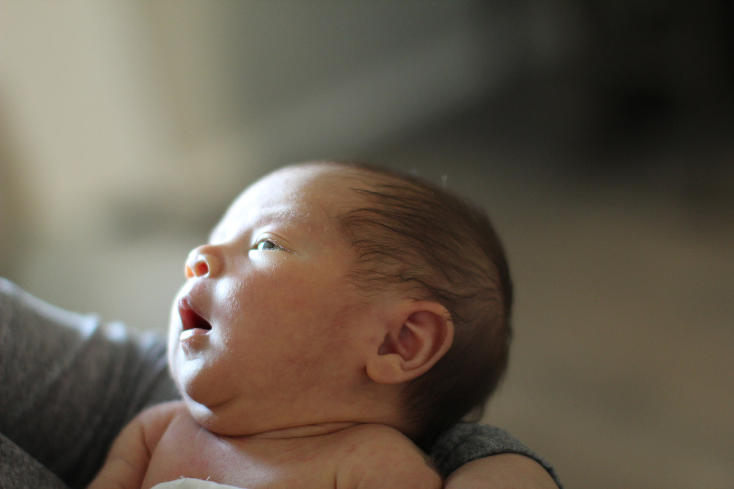 In Safe Arms by Barbara Lardera