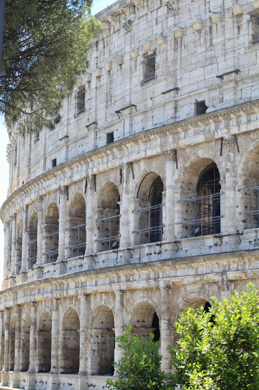Where Time Still Breathes by Barbara Lardera