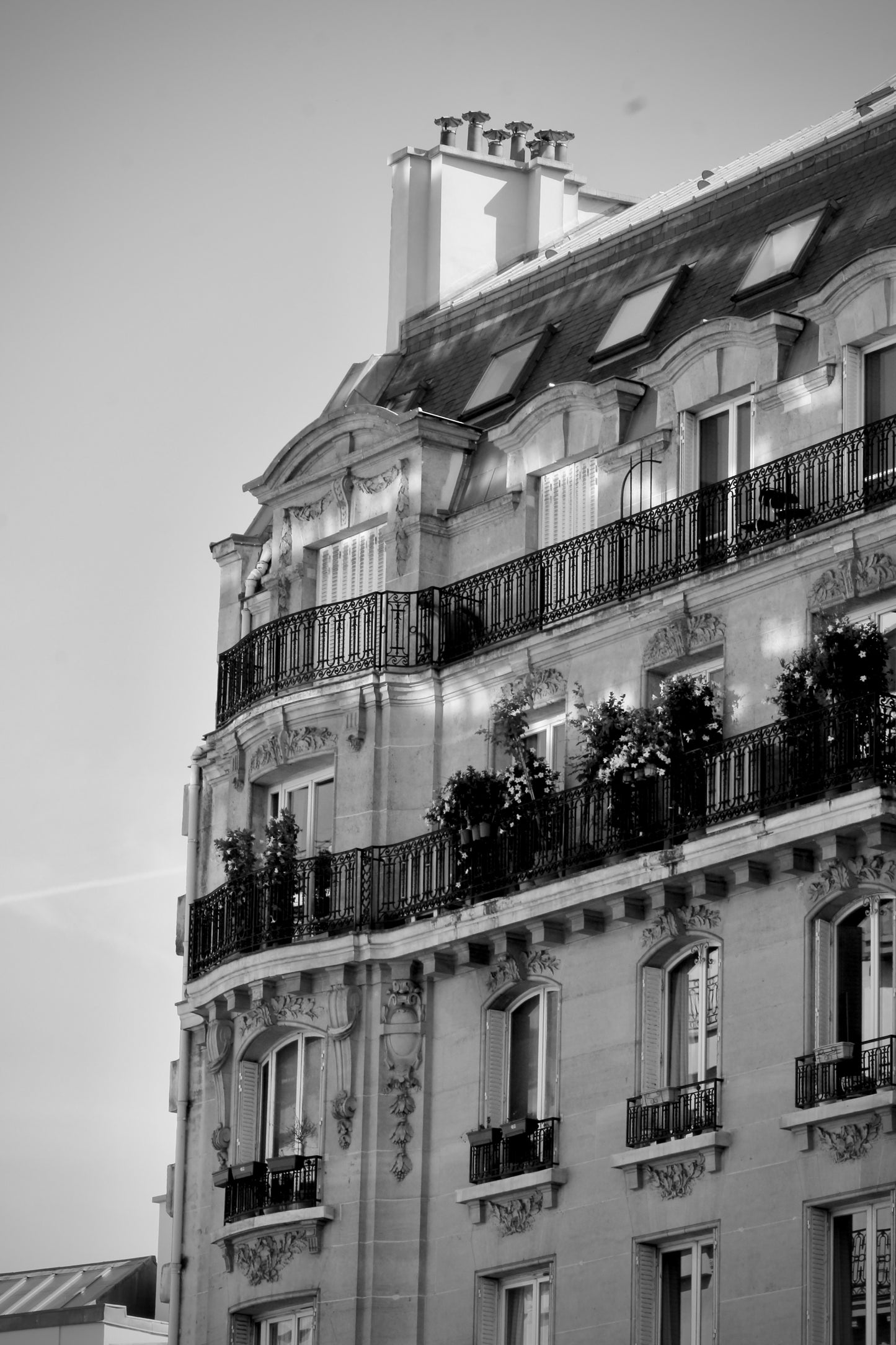 Haussmannian Architecture – Parisian Rooftops by Barbara Lardera