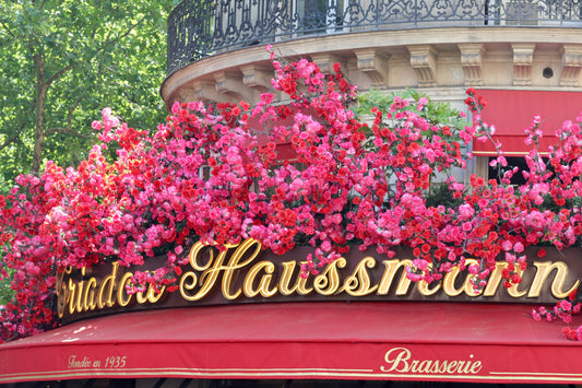 Paris in Bloom – Brasserie Haussmann by Barbara Lardera