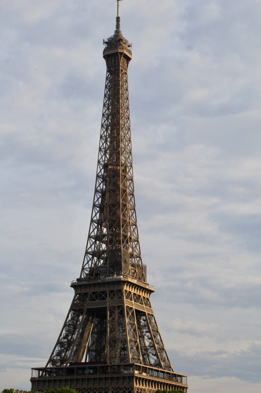 Paris Icon by Barbara Lardera